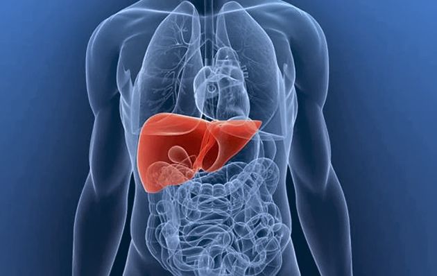 Waspada! Berikut Beberapa Gejala Penyakit Liver