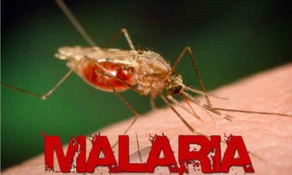 NTT Daerah Endemis Tinggi Malaria