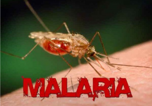 NTT Daerah Endemis Tinggi Malaria