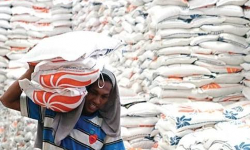 Rastra Daerah untuk Kota Kupang Siap Disalurkan