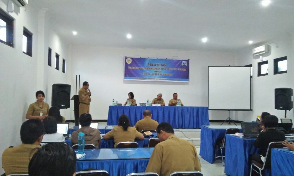 Atasi Persoalan Gender Harus Dibarengi Perencanaan dan Anggaran