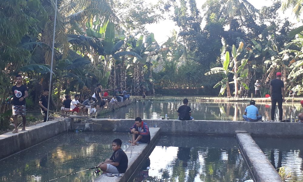 Pemancingan Saung Tani Batuplat Ramai Pengunjung
