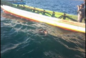 Jasad Mahasiswa Filsafat Asal Ngada Terapung di Pantai Oesapa
