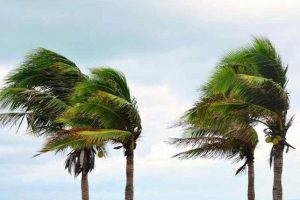 Prakiraan BMKG Kupang, Angin Kencang hingga Pekan Depan