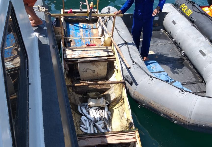 Bom Ikan di Perairan Sikka, Polair Tangkap Dua Nelayan Bom Ikan di Perairan Sikka, Polair Tangkap Dua Nelayan