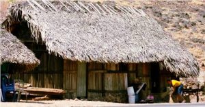 Garis Kemiskinan Provinsi NTT Naik 2,35 Persen