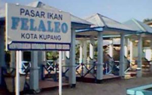 Pemkot Kupang Segera Tata Pasar Felaleo