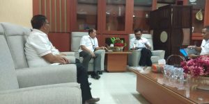 Simbolon Minta PLN NTT Buat Perbatasan RI-RDTL Terang Benderang