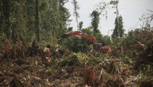 Fraksi Demokrat Dorong Pemerintah Tinjau Kembali Izin Investasi 