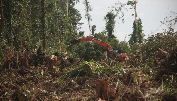 Fraksi Demokrat Dorong Pemerintah Tinjau Kembali Izin Investasi 