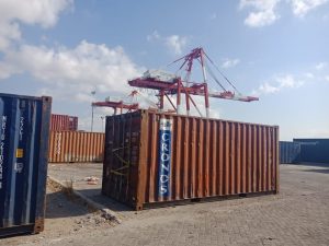 Polda Amankan 2 Kontainer Berisi Kayu Sonokeling