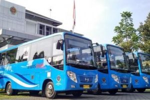 Pemkot Kupang Bakal Dapat Bantuan 6 Bus, Layani Trayek Naimata, Naioni dan Undana