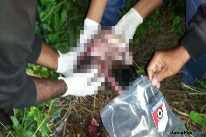 Diduga Hasil Hubungan Gelap, Nita Leu Buang Bayi Usai Melahirkan