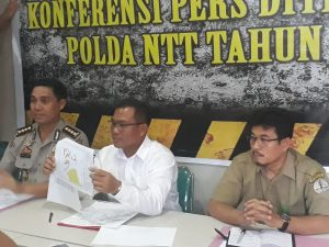 Bukan Tindak Pidana, Polda NTT Hentikan Penyelidikan Kasus Kayu Sonokeling