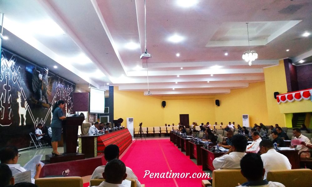 Target 10 Persen Pertumbuhan Ekonomi NTT Dinilai Terlalu Bombastis dan Tak Realistis