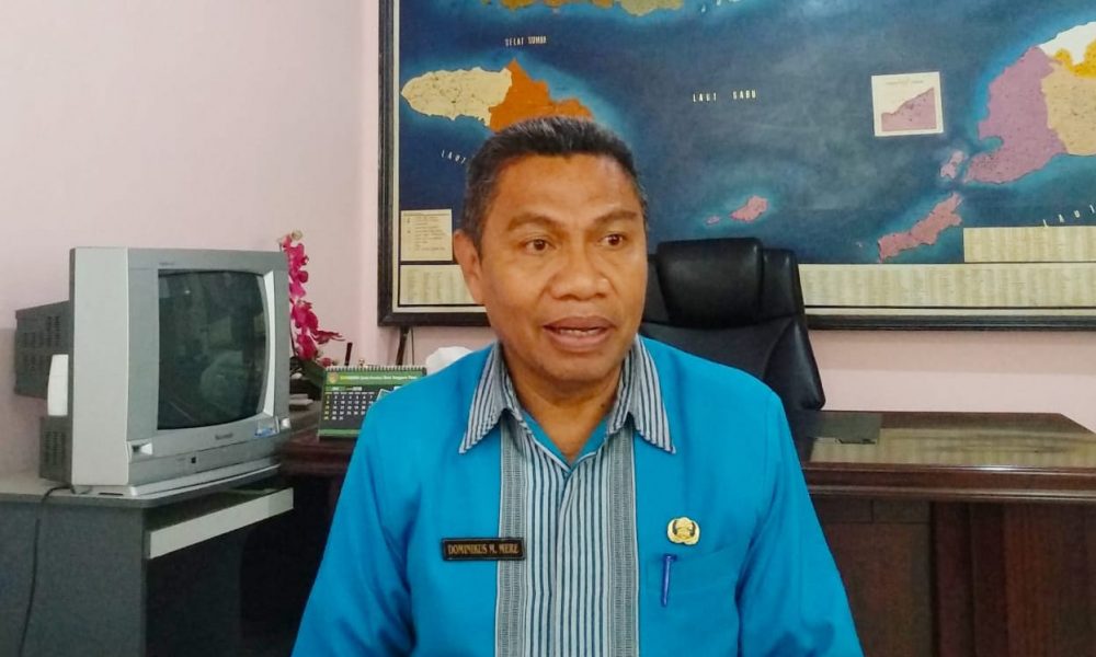 Dinkes Libatkan Mahasiswa Kesehatan Berantas DBD