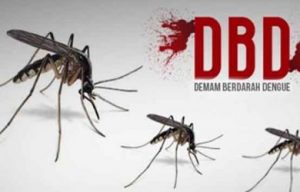 2.291 Dirawat dan 24 Meninggal Akibat DBD di NTT