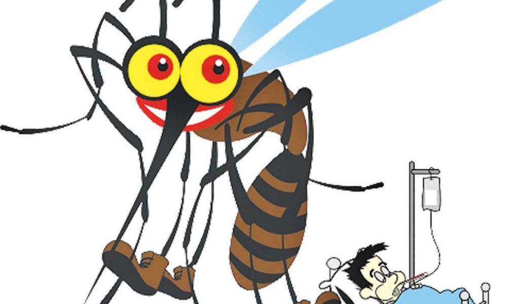 Sudah 264 Kasus DBD di Kota Kupang