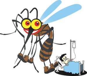 Sudah 264 Kasus DBD di Kota Kupang