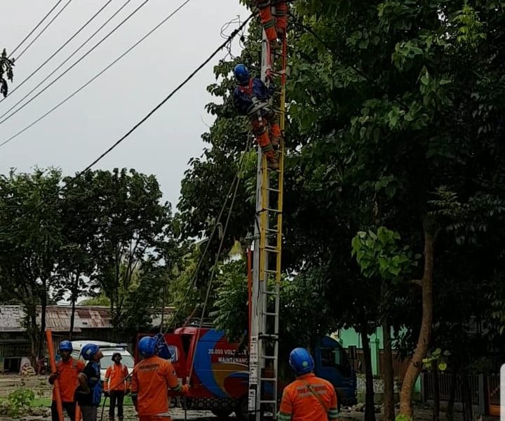 PLN Kerja Keras Pulihkan Listrik Akibat Angin Kencang di Kota Kupang