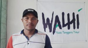 Walhi NTT Tolak Kaji Amdal PT Inti Daya Kencana
