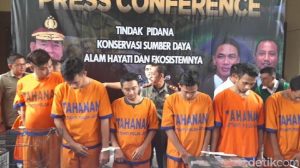 9 Penyeludup Hewan Langka Ditangkap Polisi, Ada 5 Ekor Komodo