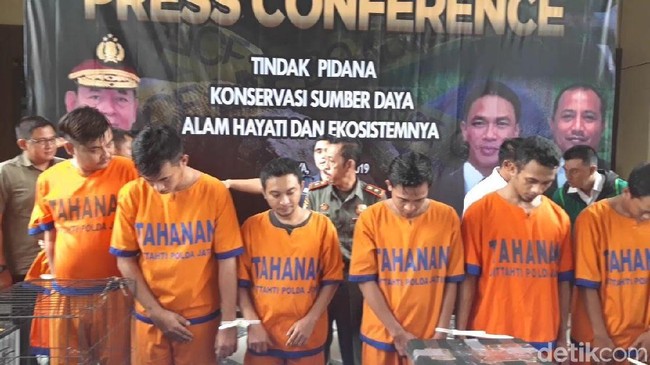 9 Penyeludup Hewan Langka Ditangkap Polisi, Ada 5 Ekor Komodo