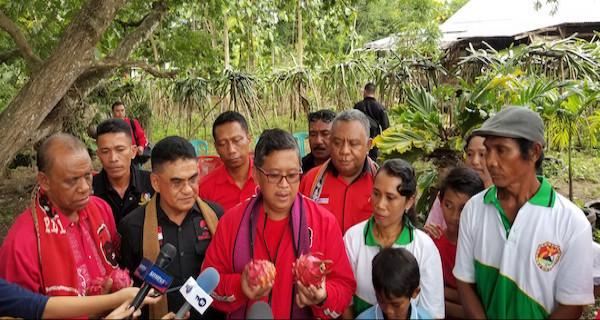 Petani Maumere Akui Sangat Terbantu dengan Pembangunan Infrastruktur di Era Jokowi