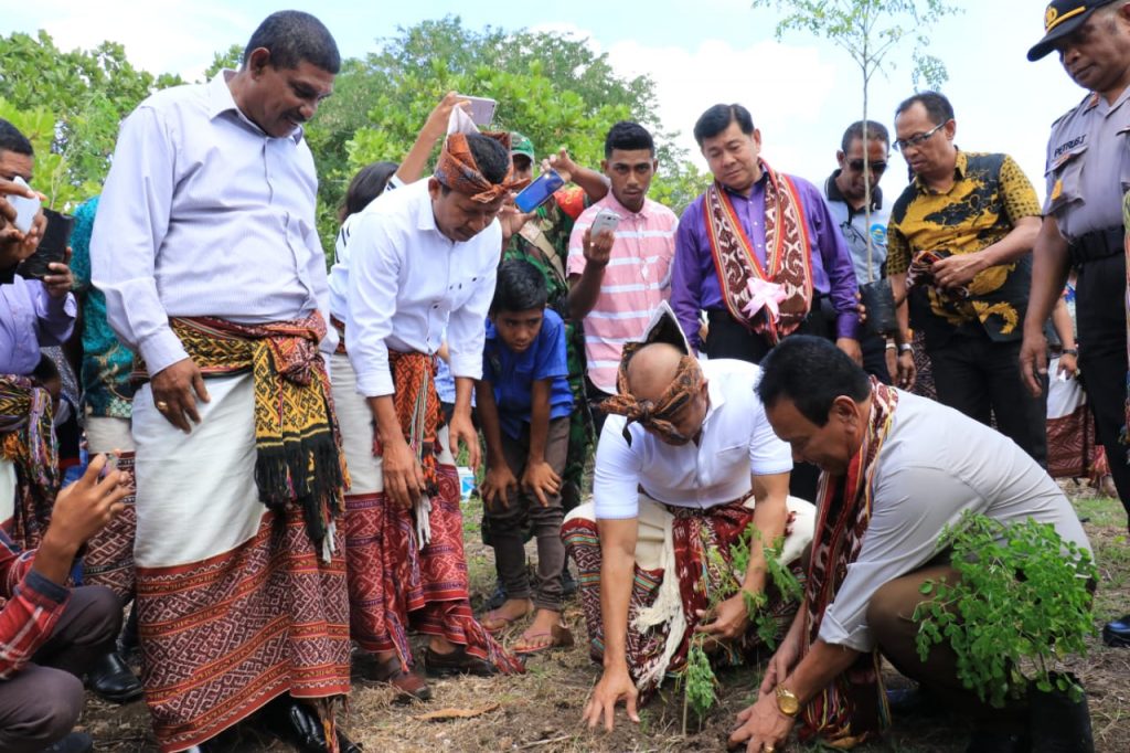 Selain Marungga, Gubernur Harapkan Masyarakat NTT Tanam Pinang