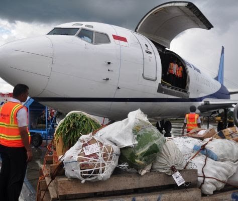 Tarif Kargo Udara ke Kupang Meroket, Petani Bunga Gigit Jari