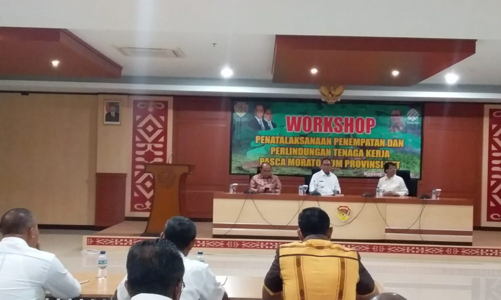 Wagub NTT: Kualitas Kompetensi Tenaga Kerja Kita Masih Memprihatinkan