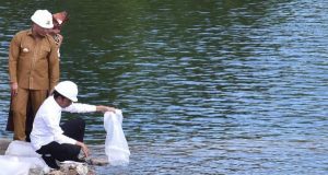 Presiden Ajak Masyarakat di Belu Tanam Beragam Komoditas