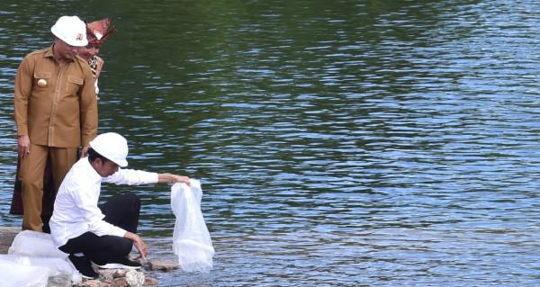 Presiden Ajak Masyarakat di Belu Tanam Beragam Komoditas