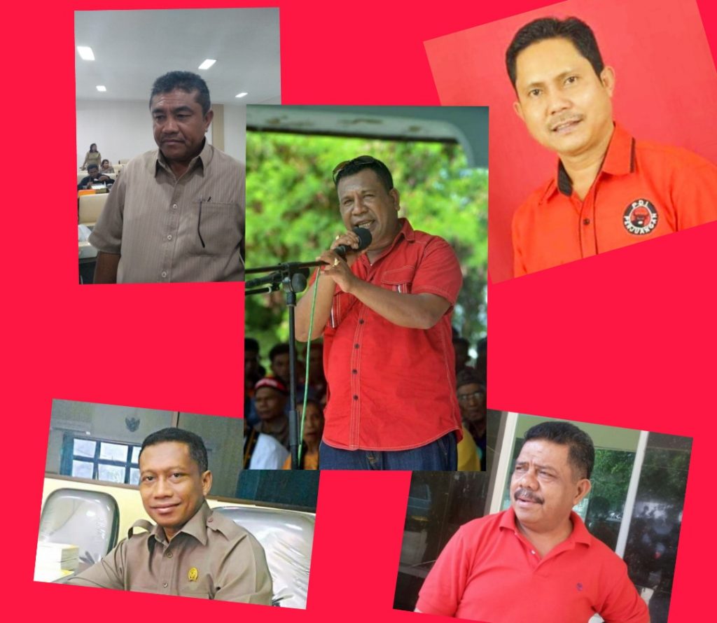 Begini Kata Lebu Raya Soal Calon Ketua DPRD NTT