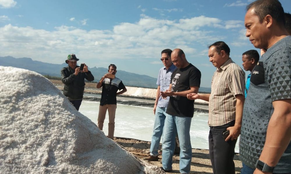 Gubernur Laiskodat Pantau Perkembangan Tambak Garam di Nunkurus