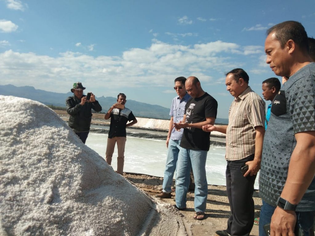 Gubernur Laiskodat Pantau Perkembangan Tambak Garam di Nunkurus