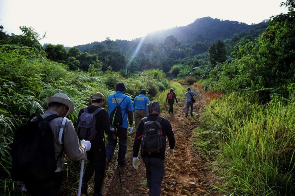 BNN Temukan 2 Hektare Ladang Ganja di Pegunungan Aceh Selatan