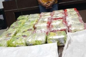 BNN Amankan Kurir Narkoba, Pelaku Bawa Dua Karung Sabu-Sabu