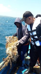Ratusan Kerang Mutiara Milik PT TOM di Kupang Raib