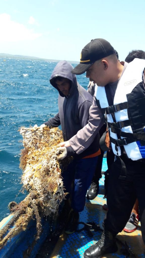 Ratusan Kerang Mutiara Milik PT TOM di Kupang Raib