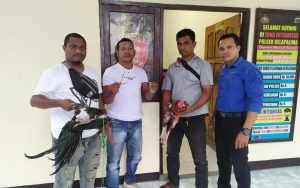 Polisi Gerebek Judi Sabung Ayam di Pasar Oeba