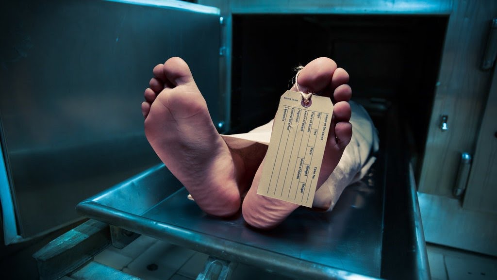 Warga TTS Keracunan Ikan, 1 Tewas, 5 Sekarat