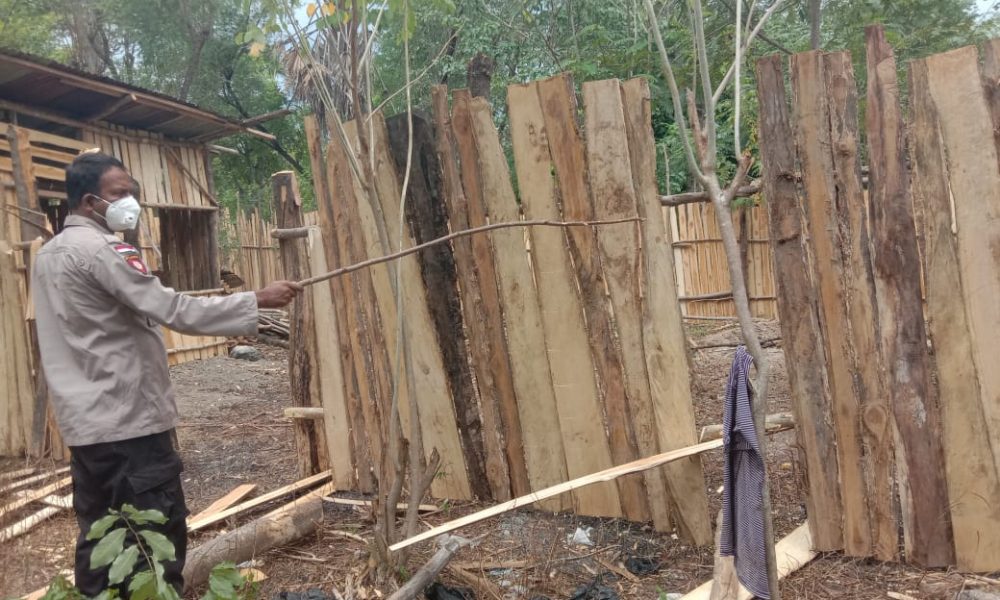 Gegara Kandang Ayam, Oknum Anggota DPRD Kabupaten Kupang Dipolisikan