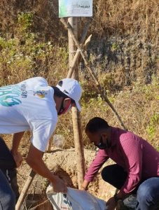 Gerakan Kupang Hijau Tanam 2.000 Pohon