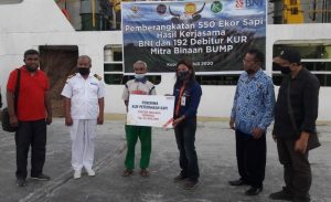 BNI Gelontorkan Klaster KUR Ternak di NTT