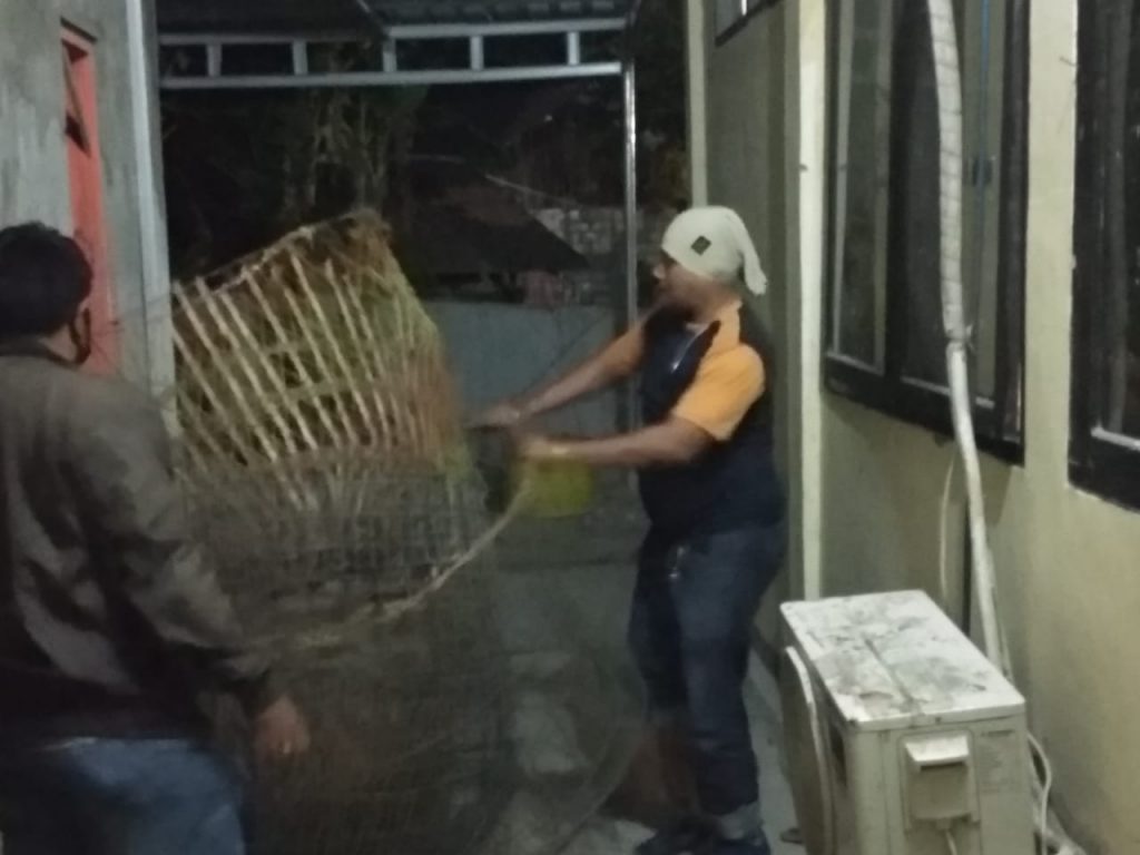 Gerebek Judi Sabung Ayam di Kupang, Polisi Amankan 12 Pelaku dan 12 Motor