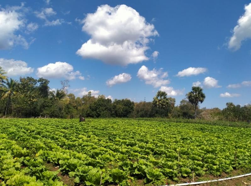 Merdeka-kan Petani NTT dengan Teknologi