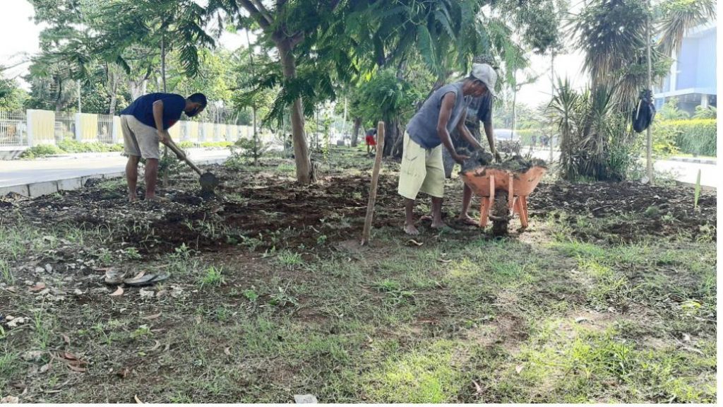 Pengadaan Tanaman untuk Jl. El Tari dan Jl. Adisucipto Terindikasi Korupsi, Kejari Kota Kupang Pulbaket