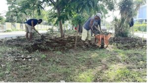 Pengadaan Tanaman untuk Jl. El Tari dan Jl. Adisucipto Terindikasi Korupsi, Kejari Kota Kupang Pulbaket