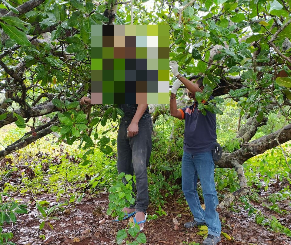 Pemuda 30 Tahun di Kupang Ditemukan Tewas Gantung Diri di Pohon Jambu Mete